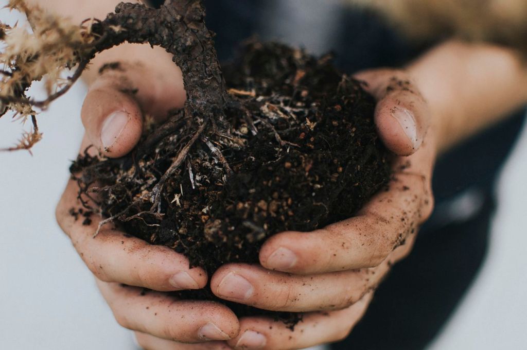 Hand holding soil for planting